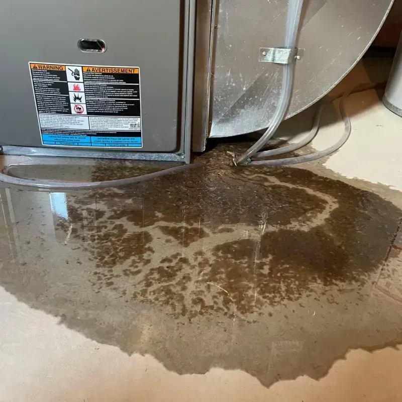 Appliance Leak Cleanup in Springdale, MD